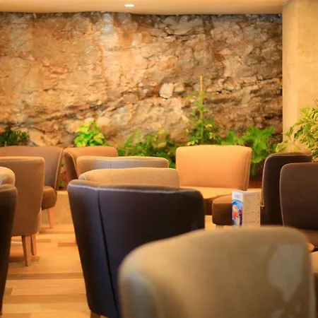 Fergus Cactus Garden